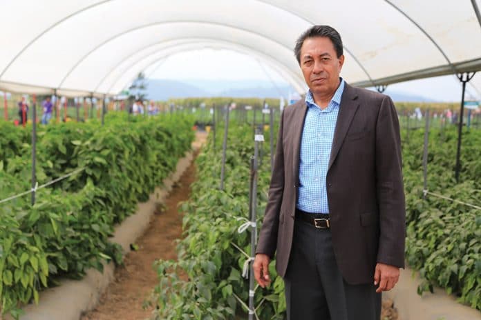 Se consolida Jalisco como gigante agroalimentario