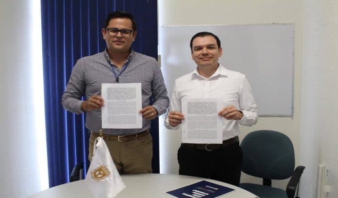 sejuv-becas