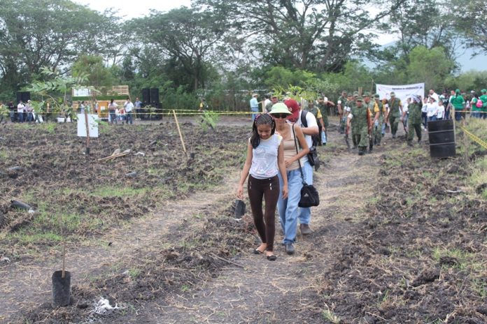 Arranca Campaña Nacional de Reforestación 2016
