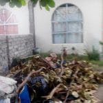 Denuncian negligencia de vecinos en colonia Bosques del Sur  2