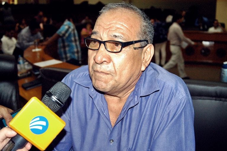 Peña Colorada deforesta y rompe la armonía del pueblo: Ayala