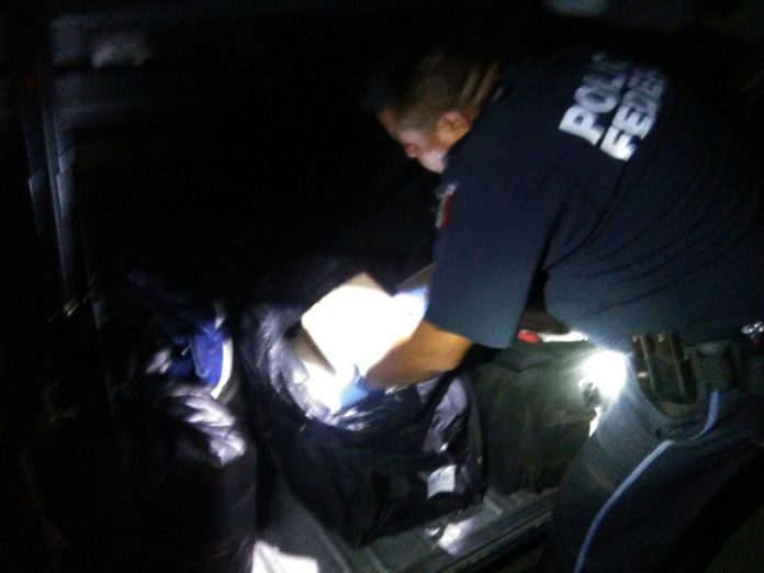 Policía Federal asegura a salvadoreño con 30 kilos de marihuana 2