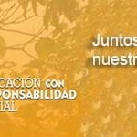 banner 12