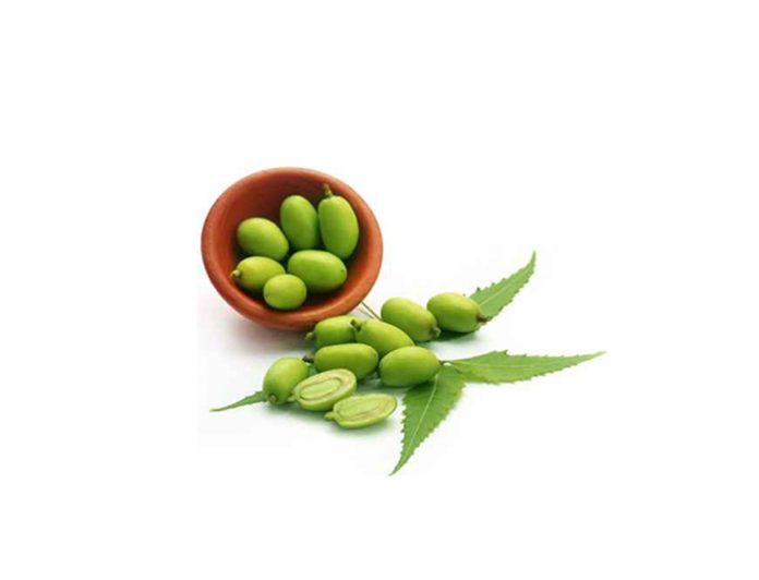 Medicinal neem fruits