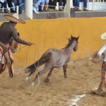 0086-septiembre-2016_charros-mexico