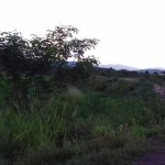 terreno-2
