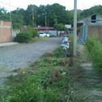 limpieza calles de armeria