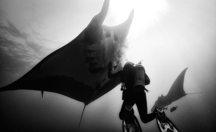anuar-patjane-floriuk-fotografo-ganador-del-world-press-photo