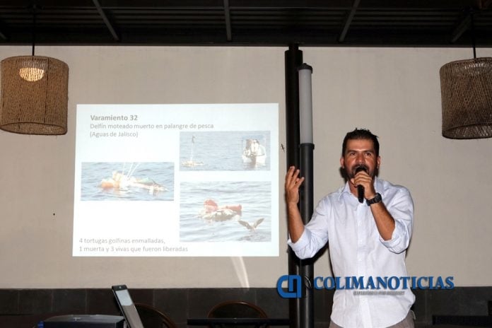 Conferencia Eventos de mortalidad de mamíferos marinos en nuestras costas