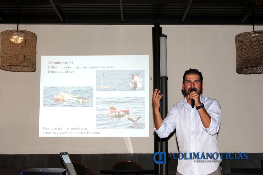 Explican mortalidad de mamíferos marinos en costas de Colima ... - colimanoticias