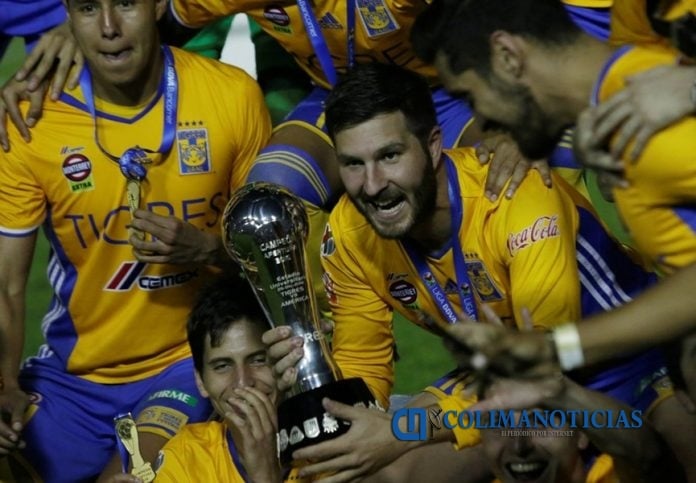 tigres campeón liga