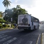 camión