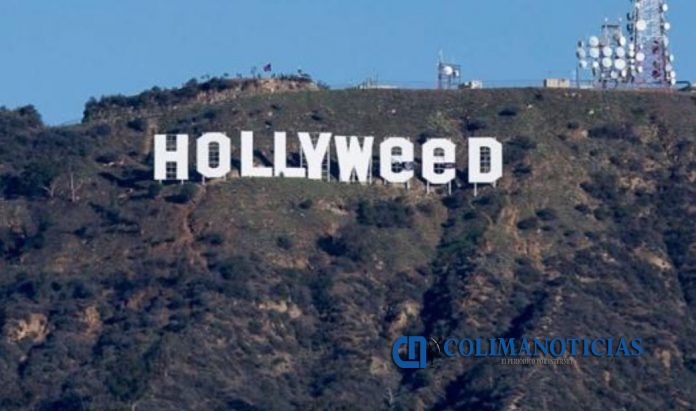 hollyweed-abc