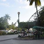 jardín