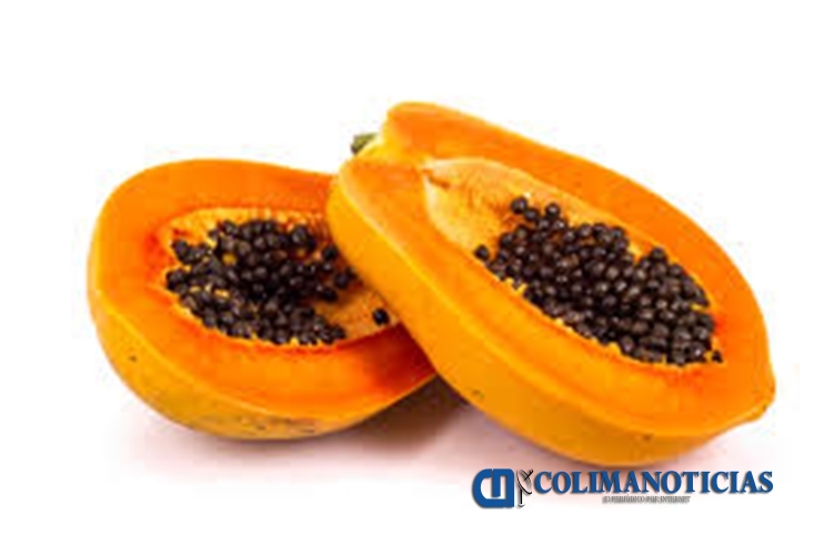 Conoce los beneficios que la papaya aporta a tu cuerpo Colima Noticias