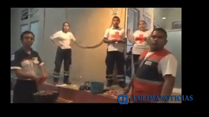 paramedicos-video