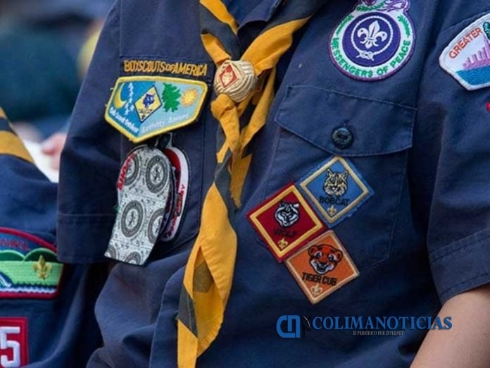 scouts