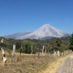 volcan de colima 30 de enero9