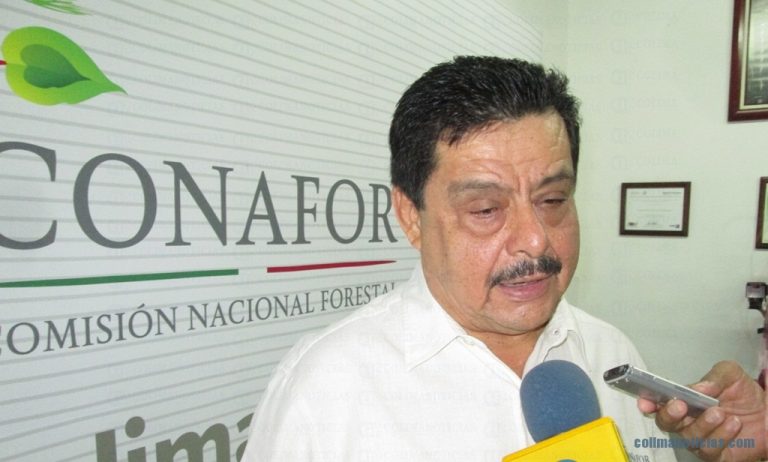 Incluirán al estero Palo Verde de Cuyutlán en el programa de recuperación de manglares