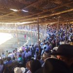 toros la petatera