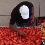 mercado manzanillo jitomate