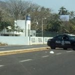 policía federal tecomán