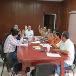 ARMERIA SALUDABLE programa