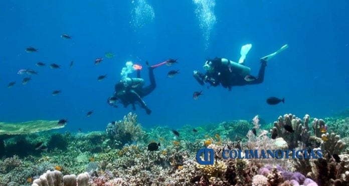Buceo