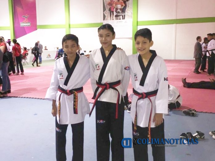 Torneo Regional de Tae Kwon Do