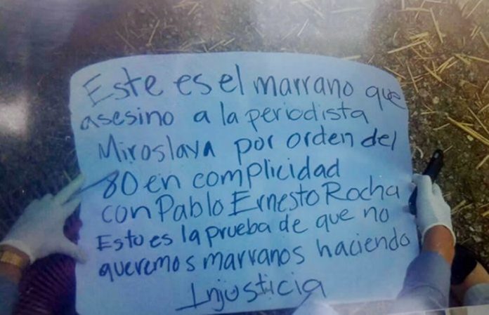 cartulina ejecutado chihuahua2