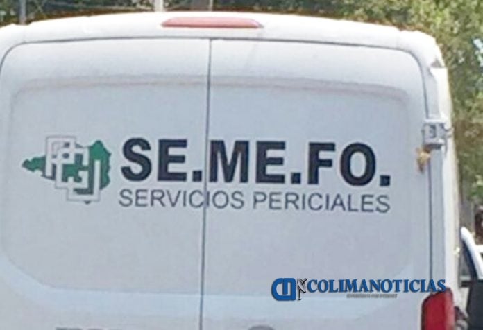 semefo archivo