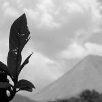 volcan de colima archivo gris3