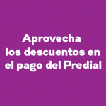 BANNER PREDIAL MAYO
