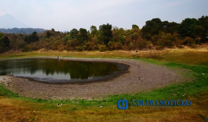 laguna de carrizalillos seca