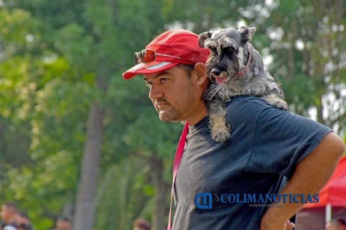 mascota