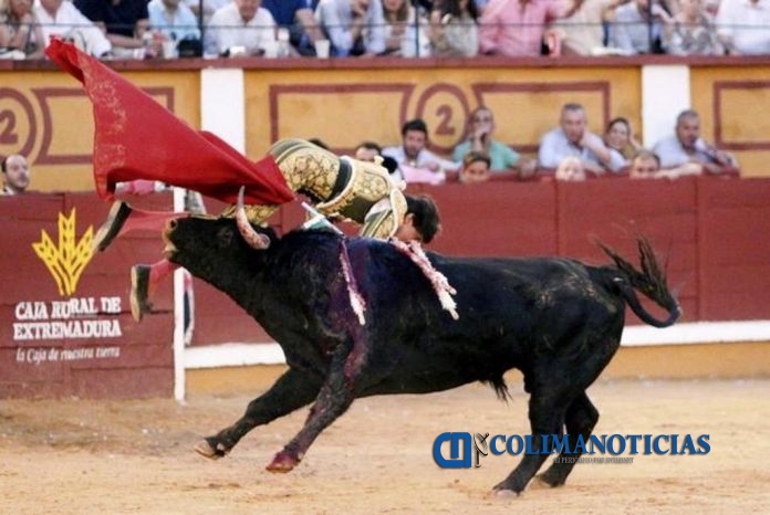 0231.JUNIO.2017_Cornada de Andrés Roca Rey en Badajoz