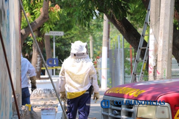 Atacan abejas africanizadas a alumnos de escuela primaria0