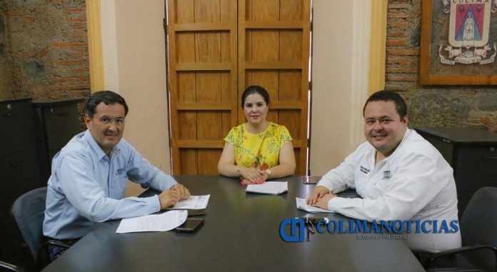 Comité de Transparencia