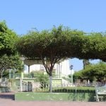 Coquimatlán jardín3