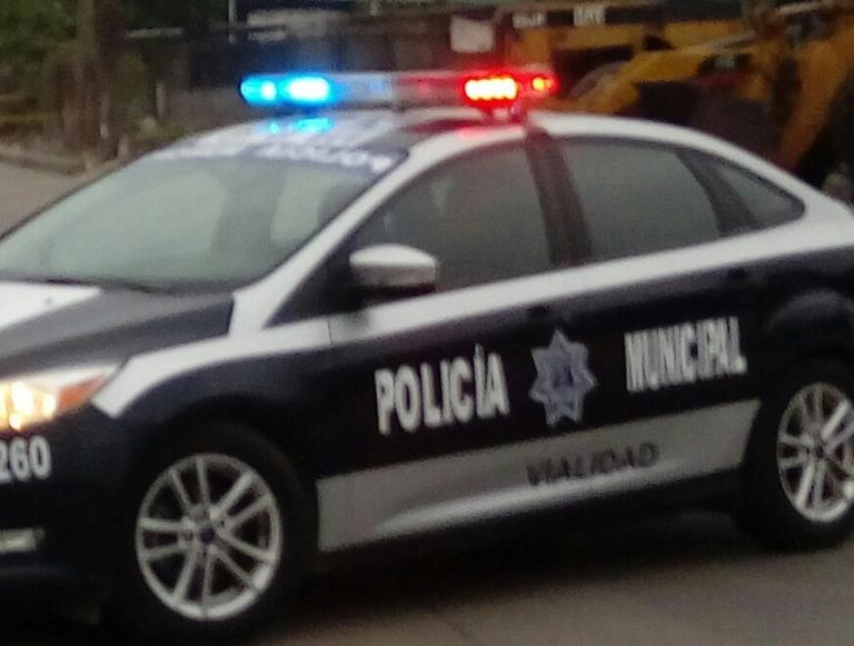 Pensaban que estaba muerto y de pronto… Se levantó