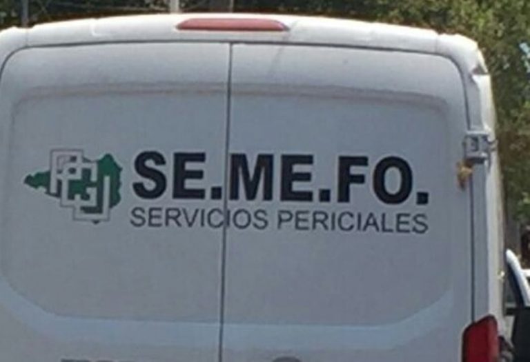Muere un hombre al caer de un árbol en Tecomán