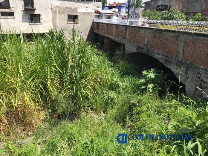 Urge desazolve en el río Colima2