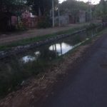 canal colima