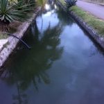 canal – colima