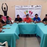 voluntariado cultural de armeria