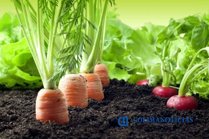 Agricultura