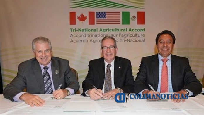 DIVERSIFICACIÓN agricultura