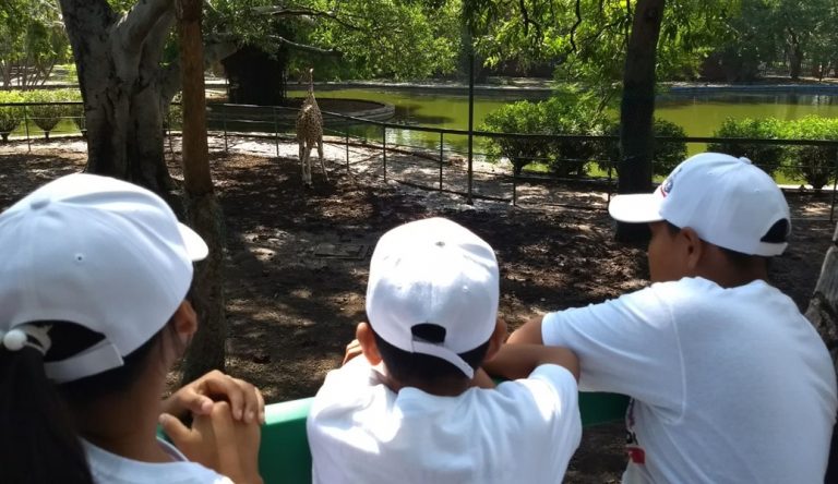 Rechaza TEPJF solicitud de Martha Zepeda para realizar plebiscito de Ecoparc