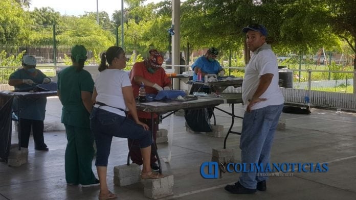 dara organizacion