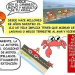 informacion CANGREJOS
